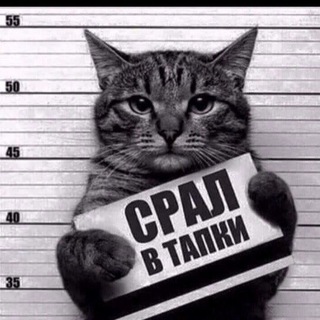 Логотип @gagsvideos1 - Приколы | Юмор | ТикТок | Gags videos🤣