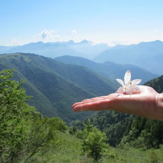 Логотип @gaialunasospel - Gaïa Luna