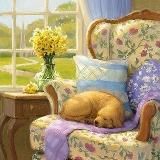 Логотип @galina_taro_21 - Галина 🌸 Путь к гармонии