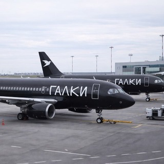 Логотип @galkimoscow - Галки