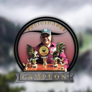 Логотип @gallerapanchitopistolas - Gallera Panchito Pistolas