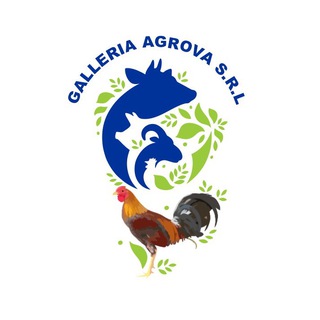 Логотип @galleriaagrova - Galleria Agrova.SRL