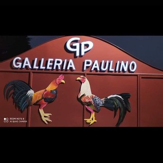 Логотип @galleriapaulino55 - Galleria Paulino 829-475-8976