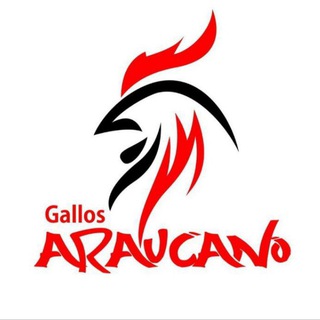 Логотип @gallosaraucano - Gallos ARAUCANO