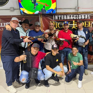 Логотип @galloscentrogenetico - Gallos Centro Genético