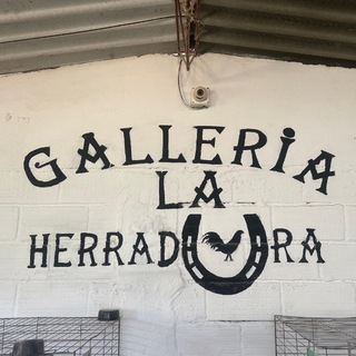 Логотип @galloslaherraduramedelllin - LA HERRADURA