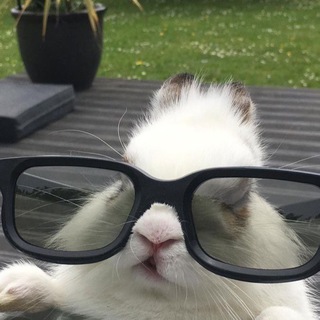 Логотип @galsi_yt0001 - 𝙳𝚒𝚟𝚊𝚜𝚒𝚔𝟷𝚇❤️‍🔥 конкурсы