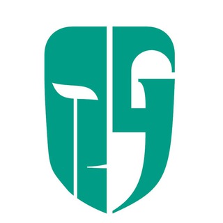 Логотип @gamerstormru - GamerStorm Russia