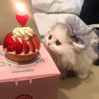 Логотип @gamesbestt - правила игр @the_best_gamesss