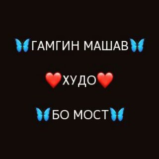 Логотип @gamgin_mashav_oo2 - 🦋ГАМГИН МАШАВ ХУДО БО МОСТ🦋