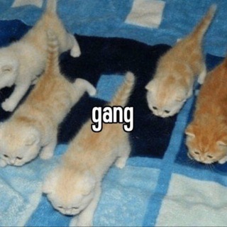 Логотип @gamgmama - gamg!