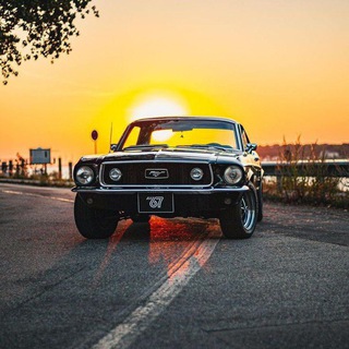 Логотип @gangsteri_gang_album - ALBUM