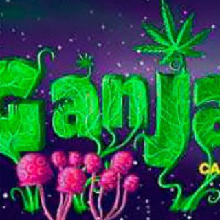 Логотип @ganjalivegroup - GanjaLive Group