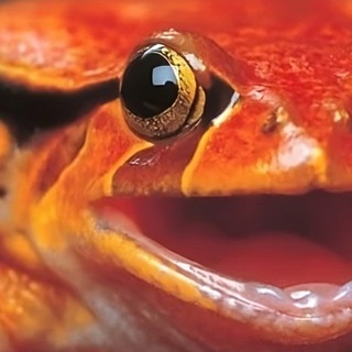 Логотип @garagemca_academy - Garage Academy