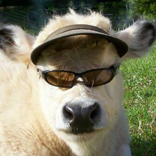 Логотип @garbageeeeee - SPG