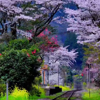 Логотип @garden_of_god - 💕🌊⛵Лагуна для души🌱🏝💕