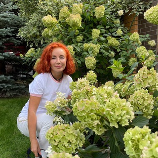 Логотип @gardenlili - Садогород «Garden Lili»