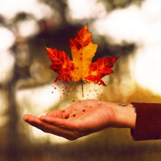 Логотип @garmoniadni - "Душевное равновесие"