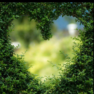 Логотип @garten_tipps - Tipps & Tricks ~ Garten