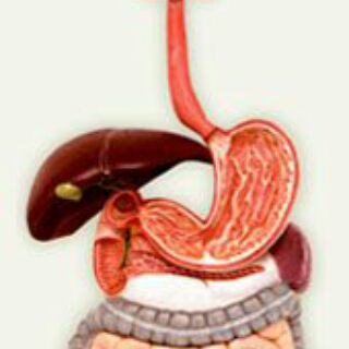 Логотип @gastroenterology - Gastroenterology
