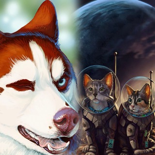 Логотип @gatos_and_chaski - ЯШМАть в КОТОднях