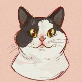 Логотип @gatos_cats - El rincón del gato.