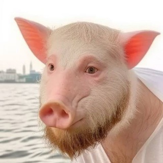 Логотип @gaychechen - Чеченцы | Чечня | Купчи