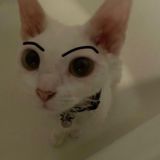 Логотип @gayixz - роди меня обратно / 18+