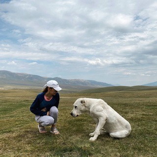 Логотип @gbazhkenova - Bazhkenova