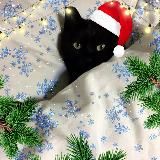 Логотип @gde_1w1 - логово 1в1