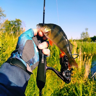 Логотип @gderibaru - Места для рыбалки RU