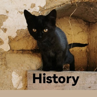 Логотип @gedadzuhistory - History
