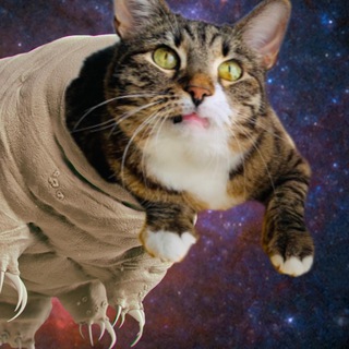 Логотип @gedonismed - ТИХОХОДКА