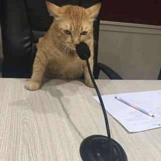 Логотип @geishas_meow - Мяучечная