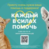 Логотип @gelendzhik_russia - ЗООГЕЛЕНДЖИК • ПРИЮТ ФОРУМ • ZOOGELENDZHIK •