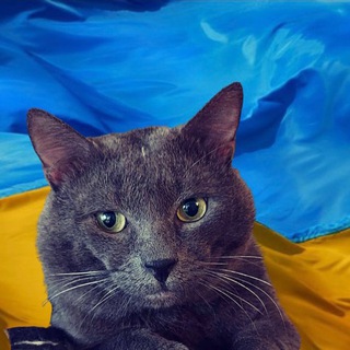 Логотип @gelioscat - Геліос