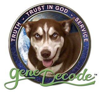 Логотип @genedecodereal - Gene Decode