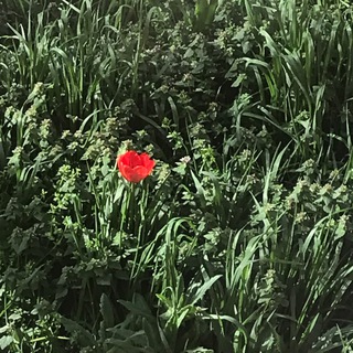 Логотип @generalrest - general rest