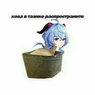 Логотип @genshindrop1 - Подвал серки || genshin drop