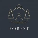FOREST / ЛЕС