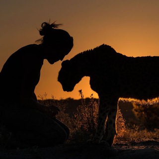 Логотип @geograflivvee - National geographic