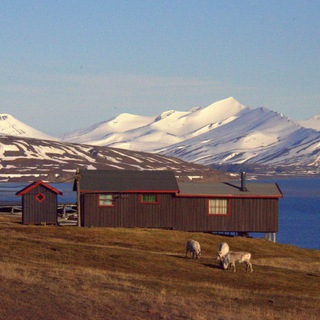 Логотип @geomapshd - Только качественные карты