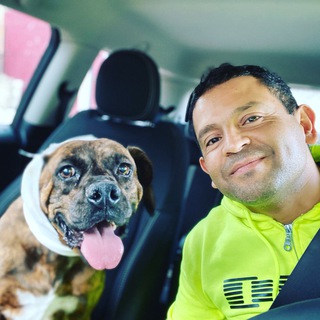 Логотип @gerardoamaro - Gerardo Amaro