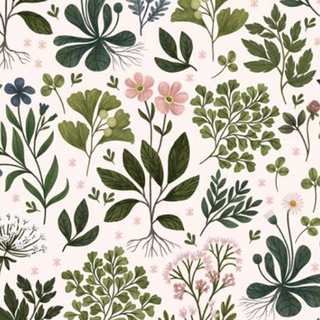 Логотип @gerbariym - Герба́рий 🌿