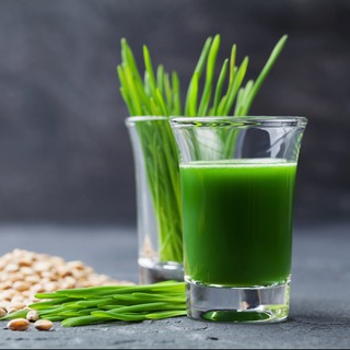 Логотип @gesund_und_vital_ohne_pharma - 🔆 gesund und vital ohne Pharma