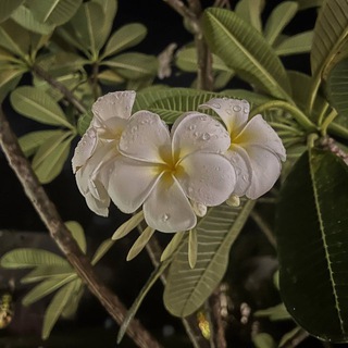 Логотип @getabiii - getabii