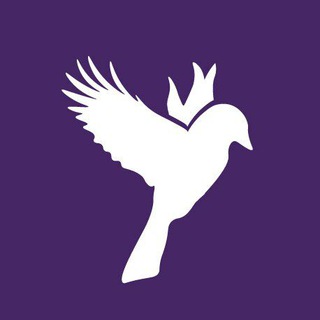 Логотип @gfclubchat - GOLDFINH Club 📢