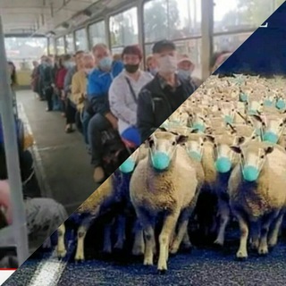 Логотип @gfpgf - ШаЛОМ ОВОЩебаЗА