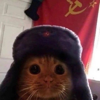 Логотип @gg_frostborn - GG_Frostborn