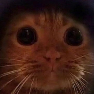 Логотип @gg_frostborn_chat - Frostborn chat